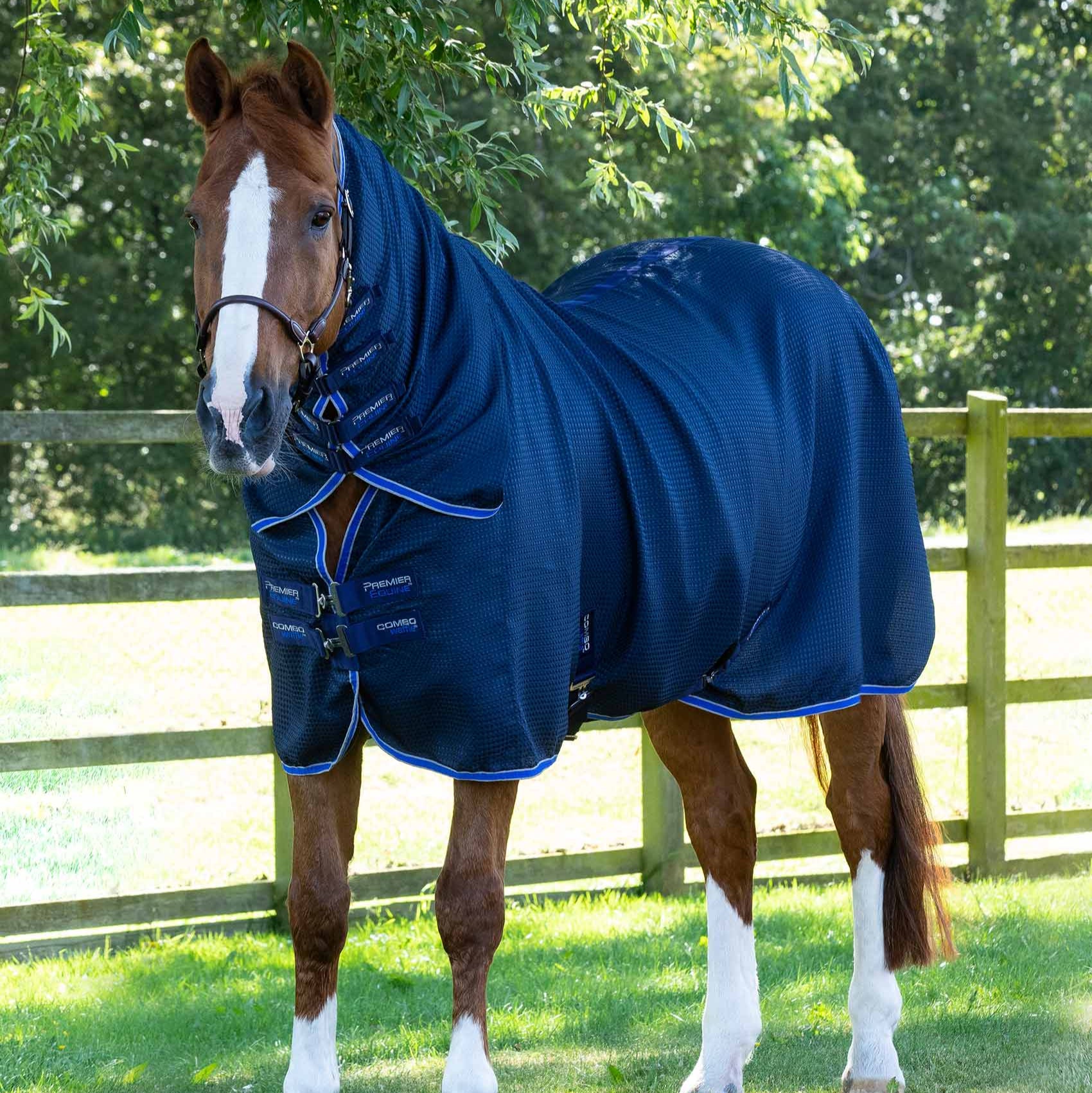 Chestnut Horse in Premier Equine Navy Waffle Cooler Rug with Neck Cover | Equiflair