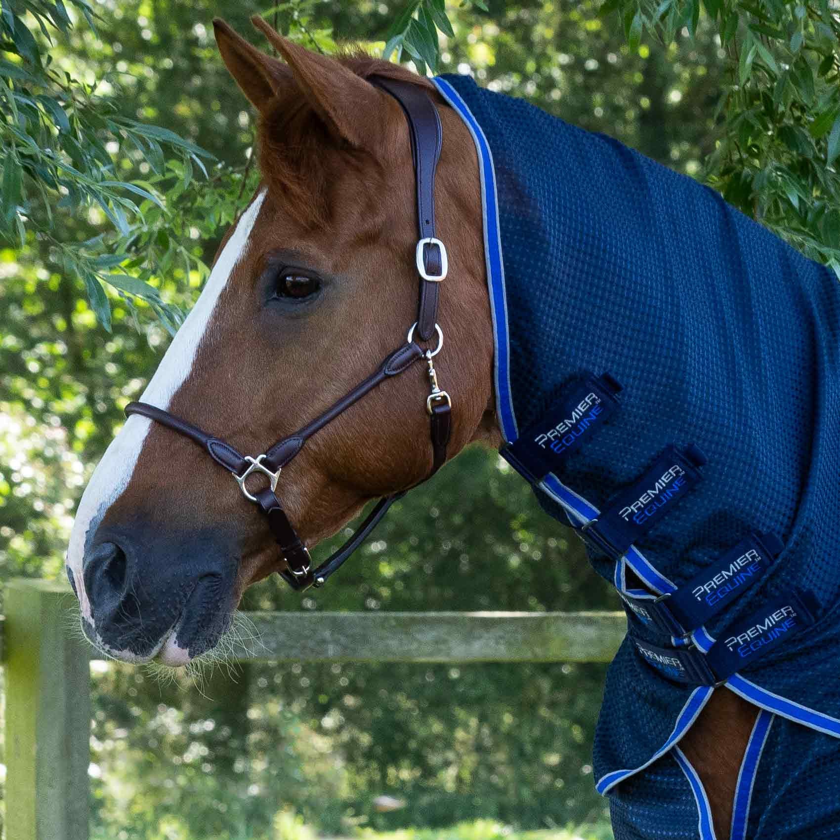 Premier Equine Combo Dry-Tech Horse Cooler Rug - Navy. Horse wearing a navy blue rug with integrated neck cover.