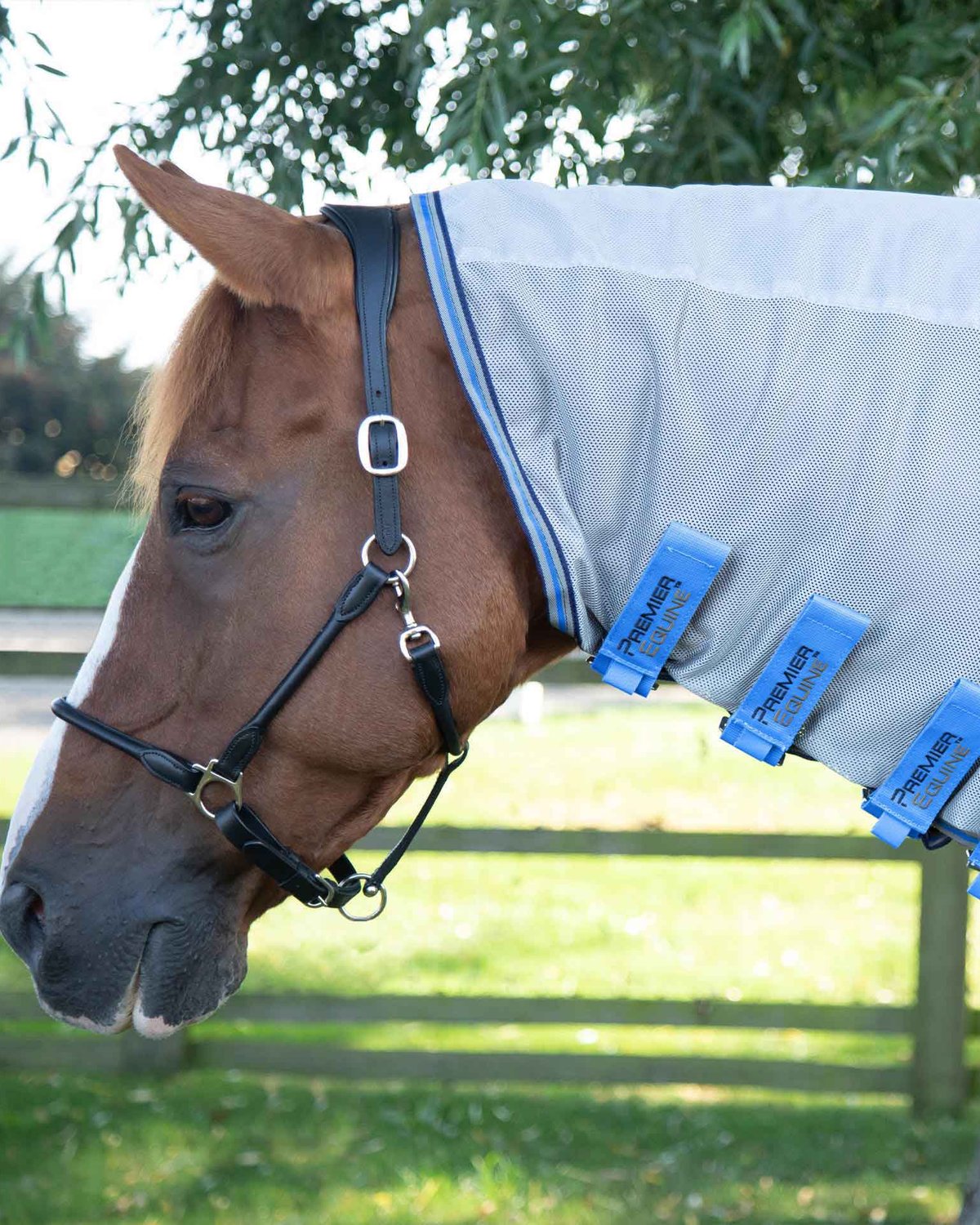 Premier Equine Combo Mesh Air Fly Rug with Surcingles Blue
