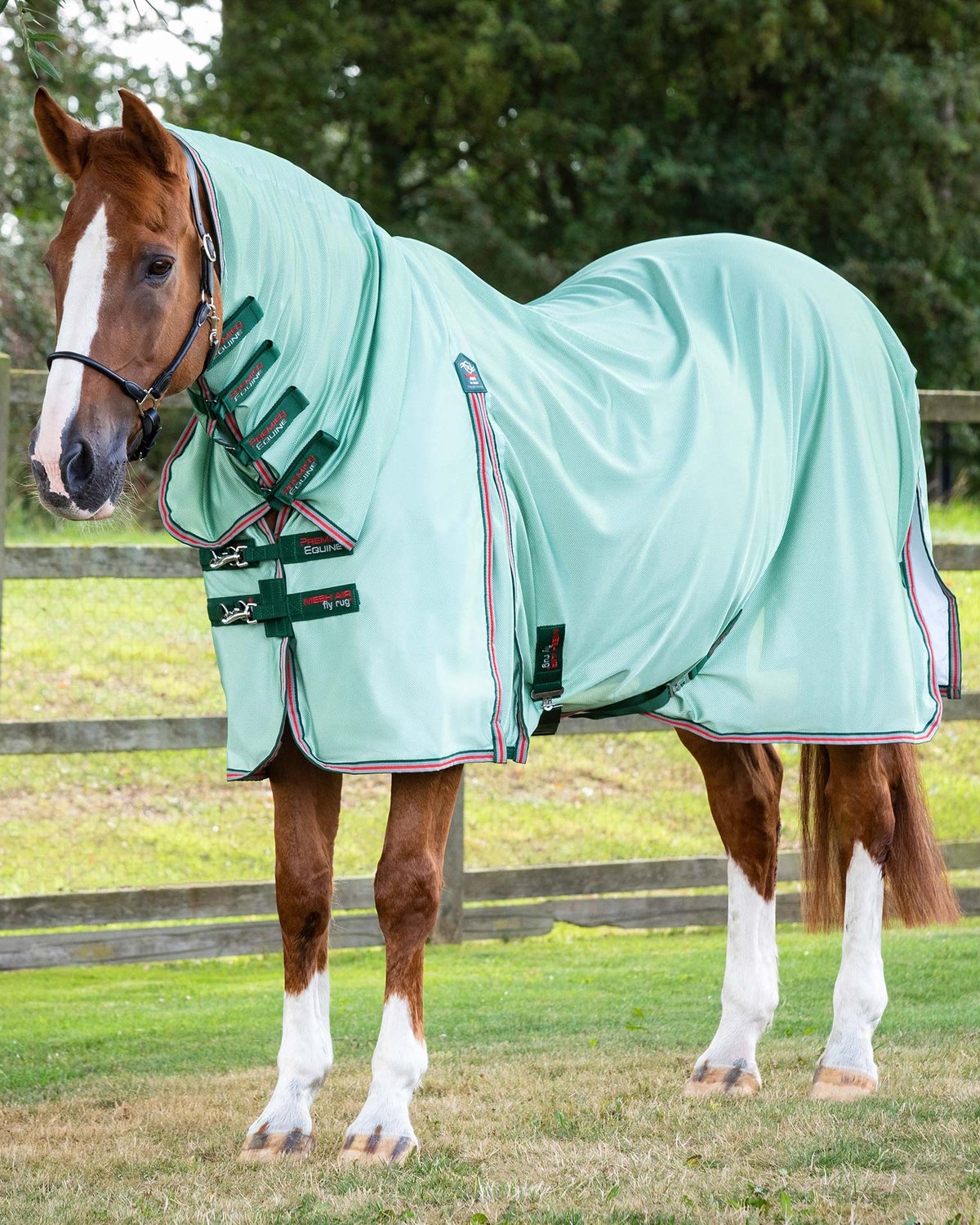 Premier Equine Combo Mesh Air Fly Rug with Surcingles Mint Green