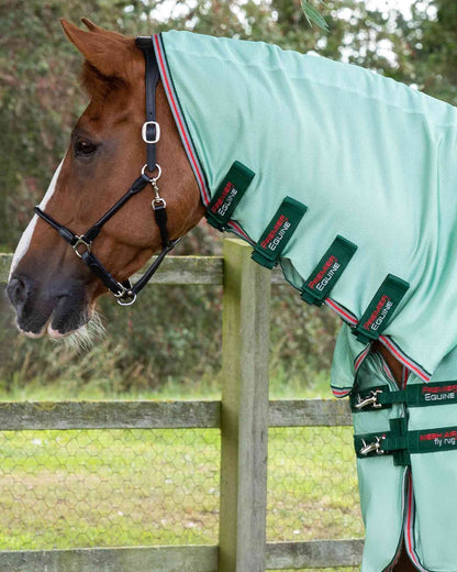 Premier Equine Combo Mesh Air Fly Rug - Mint Green. Horse wearing light green fly sheet with neck cover and black halter.  Fly Protection.