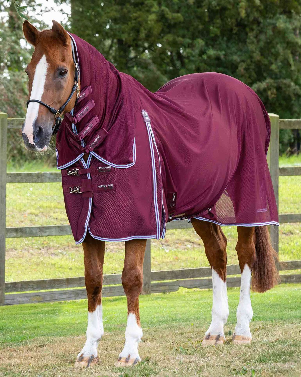 Premier Equine Combo Mesh Air Fly Rug with Surcingles Wine