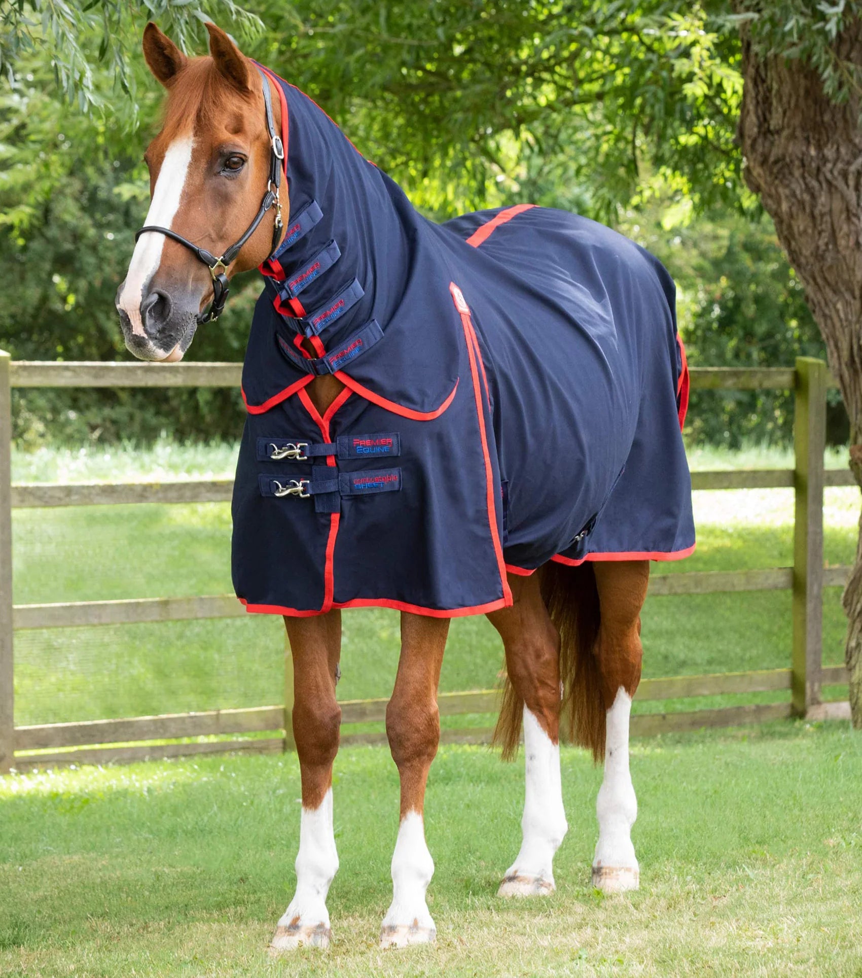 Chestnut horse wearing a navy blue Premier Equine stable sheet rug with red trim. Horse standing in a green field.