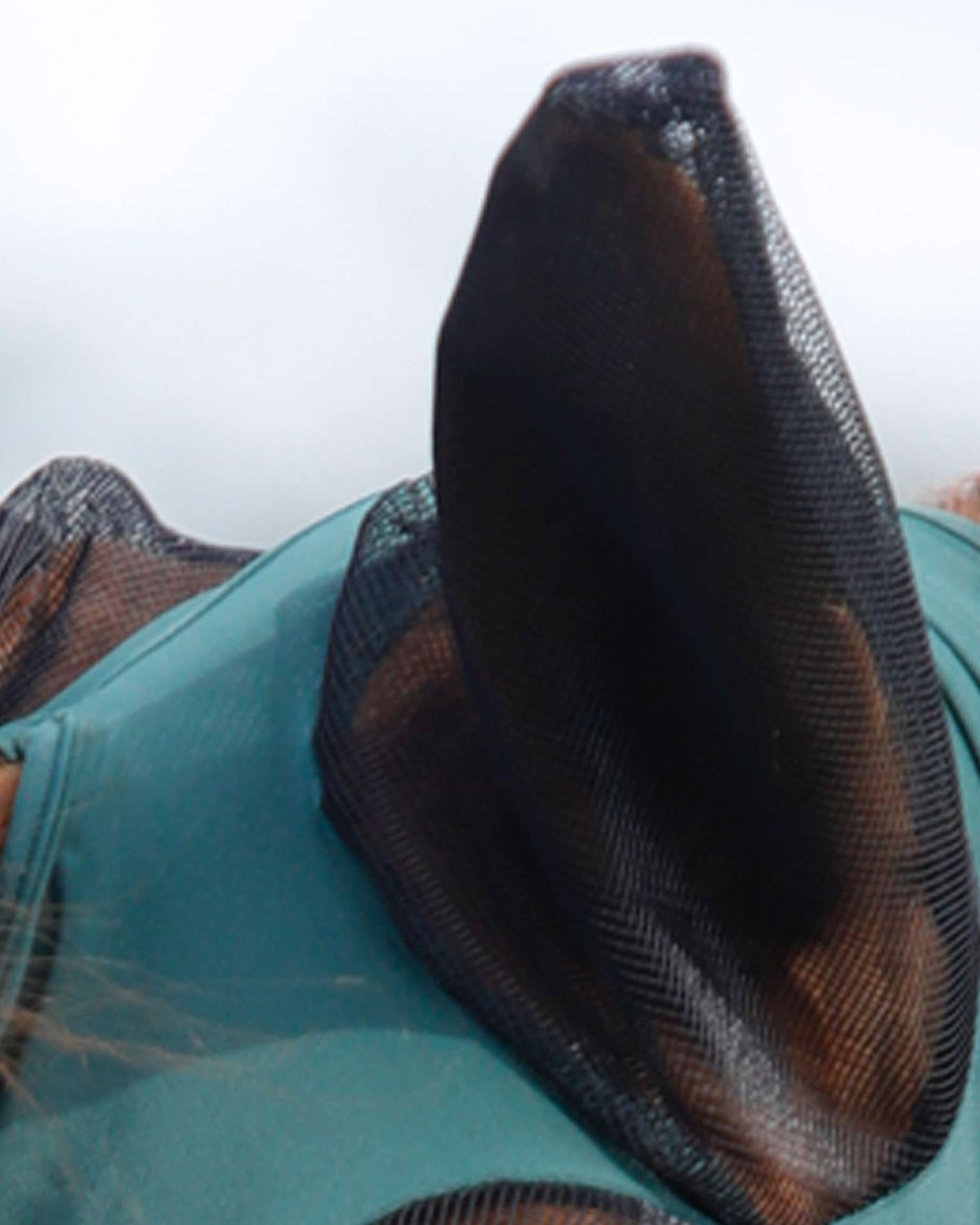 Premier Equine Comfort Tech Green Lycra Fly Mask - Horse Fly Protection at Equiflair