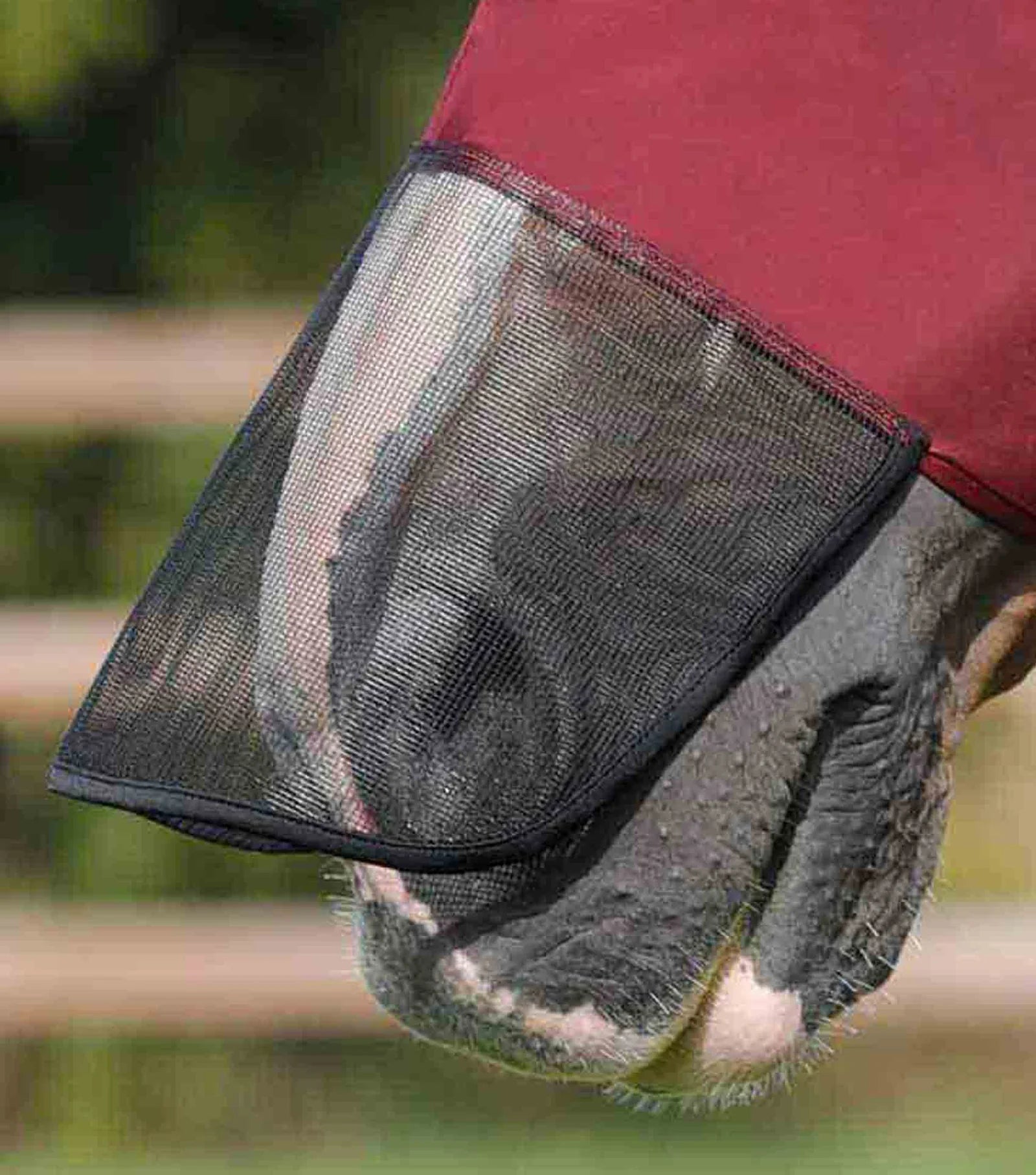 Premier Equine Comfort Tech Lycra Fly Mask Xtra Wine