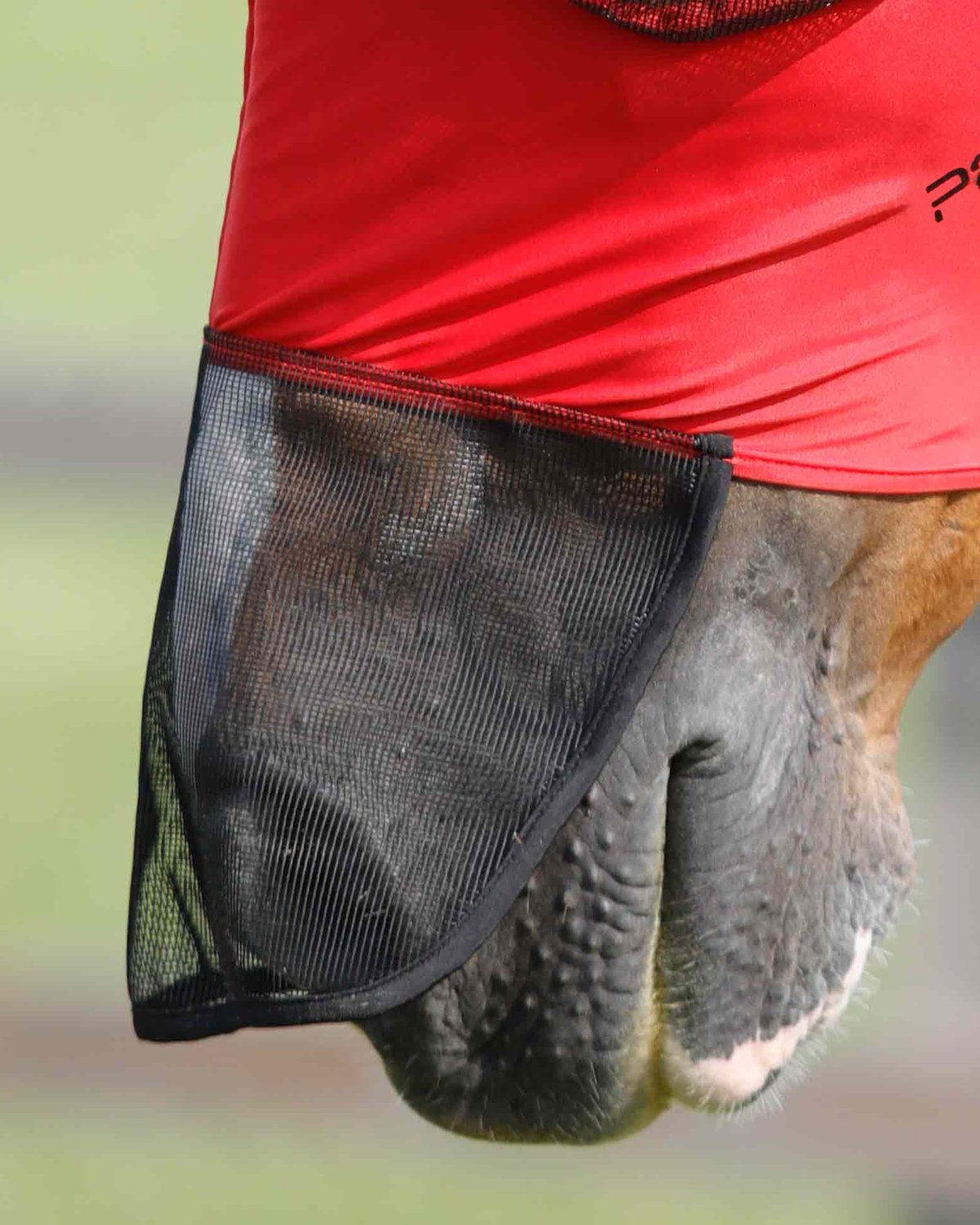 Premier Equine Comfort Tech Lycra Fly Mask Red