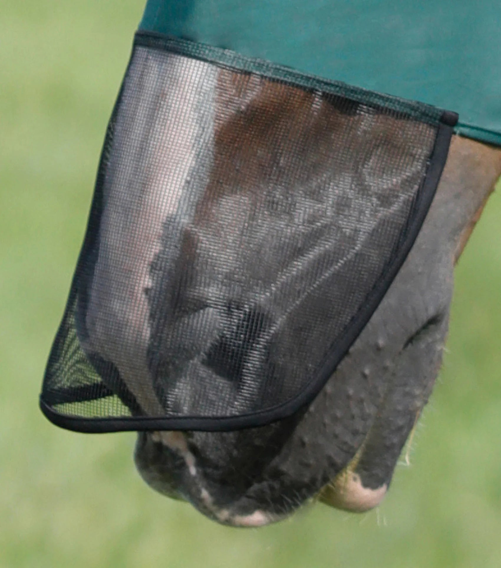 Premier Equine Comfort Tech Lycra Fly Mask Xtra Green