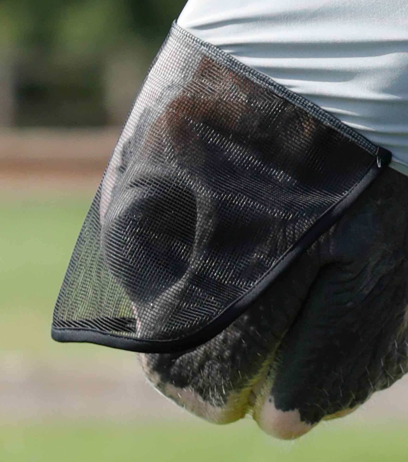 Premier Equine Comfort Tech Lycra Fly Mask Xtra Grey