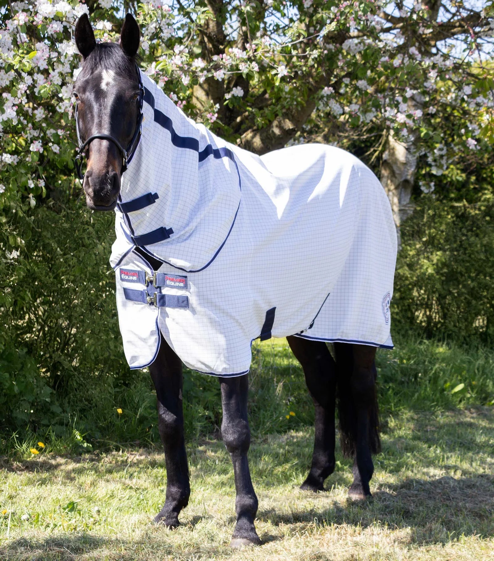 Premier Equine Cotone Stable Sheet with Neck Cover White/Navy