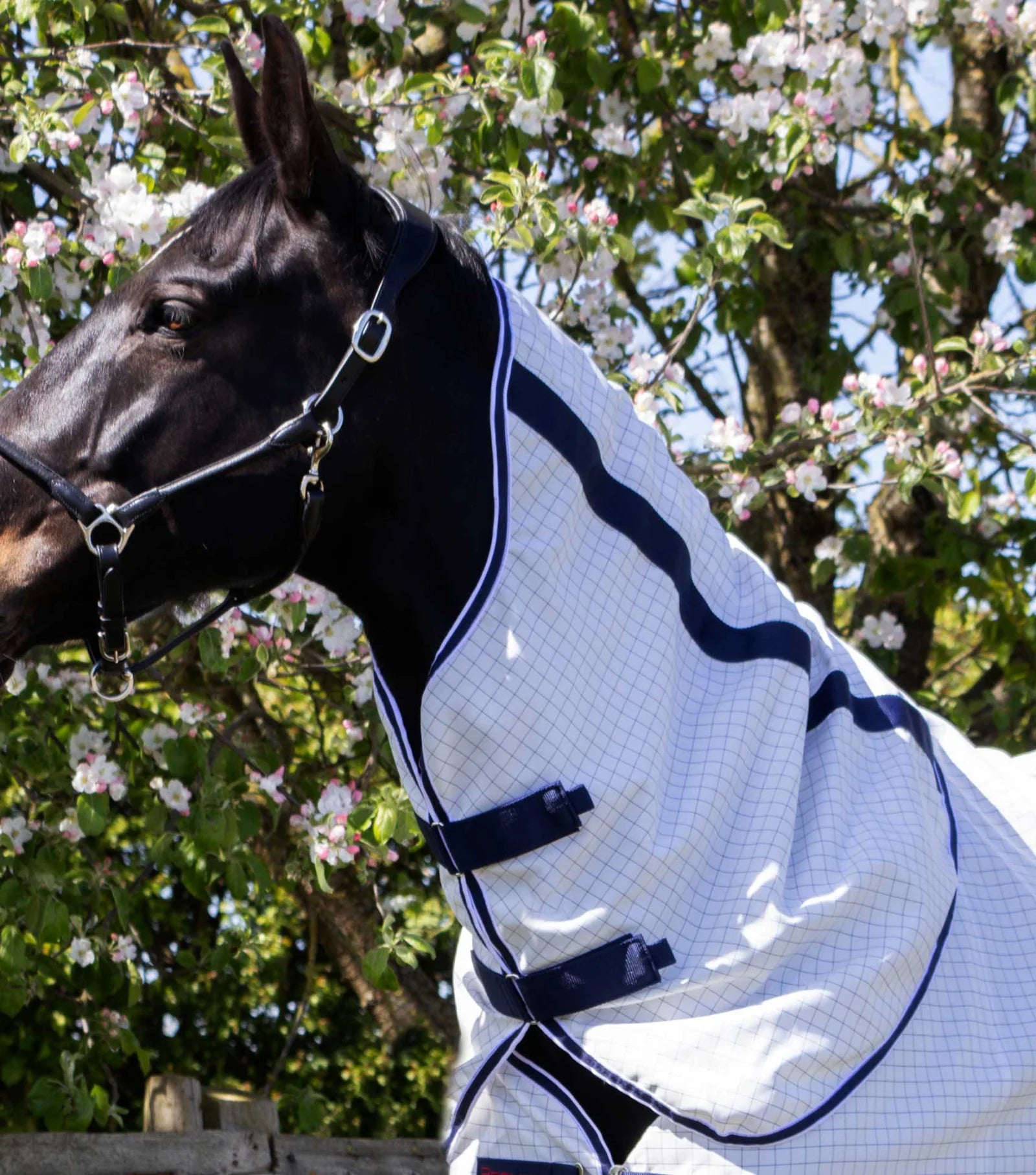 Premier Equine Cotone Stable Sheet with Neck Cover White/Navy