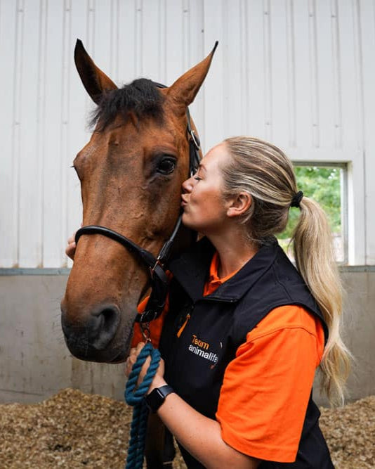 Animal Care: Woman Kissing Horse at Equiflair Stable. Equine VetroOxyshot love!