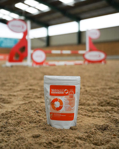 Vetrogut Balance & Protect Horse Supplement: Gut Health Booster in Equestrian Arena