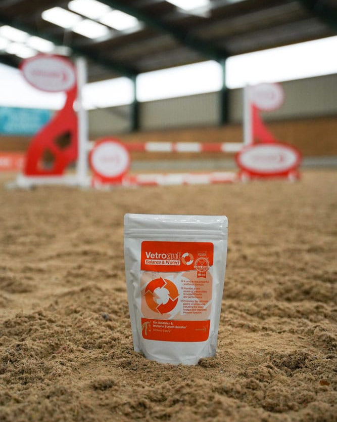 Vetrogut Balance & Protect Horse Supplement: Gut Health Booster in Equestrian Arena