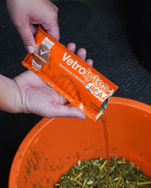 Pouring Animalife Vetrolytes Plus BCAA horse electrolytes into feed. Equine recovery supplement for dehydration.