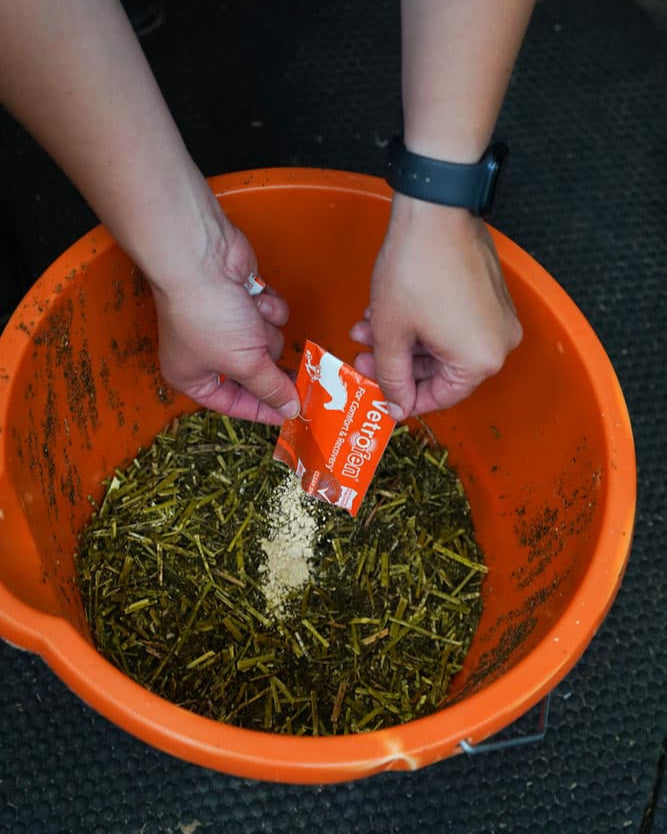 Horse Supplement: Vetrofen Intense being added to feed in a bucket. Comfort & Recovery Aid