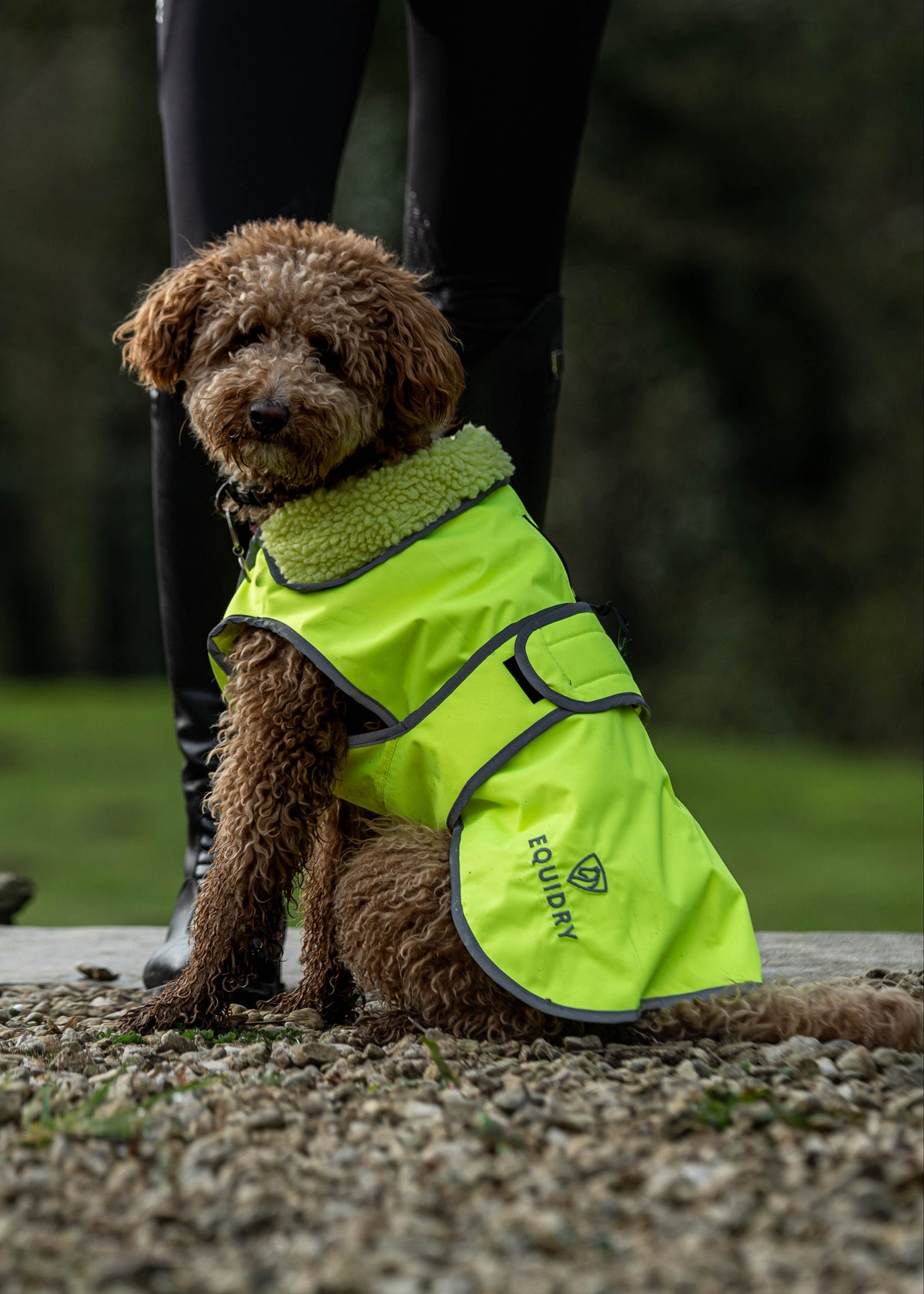 EQUIDRY Waterproof Hi-Vis Yellow Dog Coat - Keep Your Dog Dry & Visible
