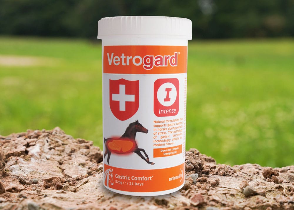Vetrogard Intense: Horse gastric health supplement for equine comfort and stress relief. Promotes digestive wellness in horses.