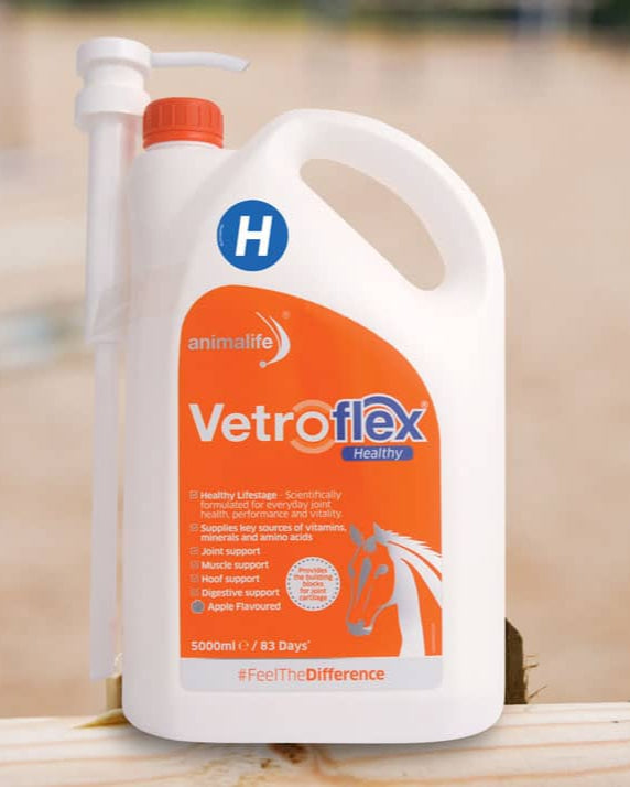 ANIMALIFE Vetroflex Healthy: Horse Joint Supplement for Flexibility & Wellbeing. Equine Health Booster