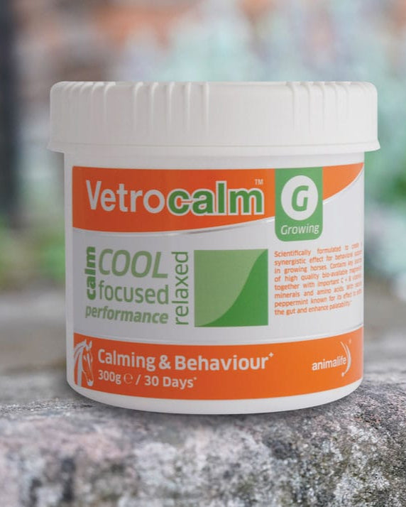 Vetrocalm G Growing: Horse Calmer Supplement for Young Horses | Equine Calming Support