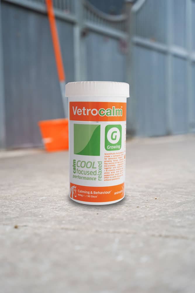 Vetrocalm Growing: Calming Supplement for Young Horses - Anxiety & Behavior Support