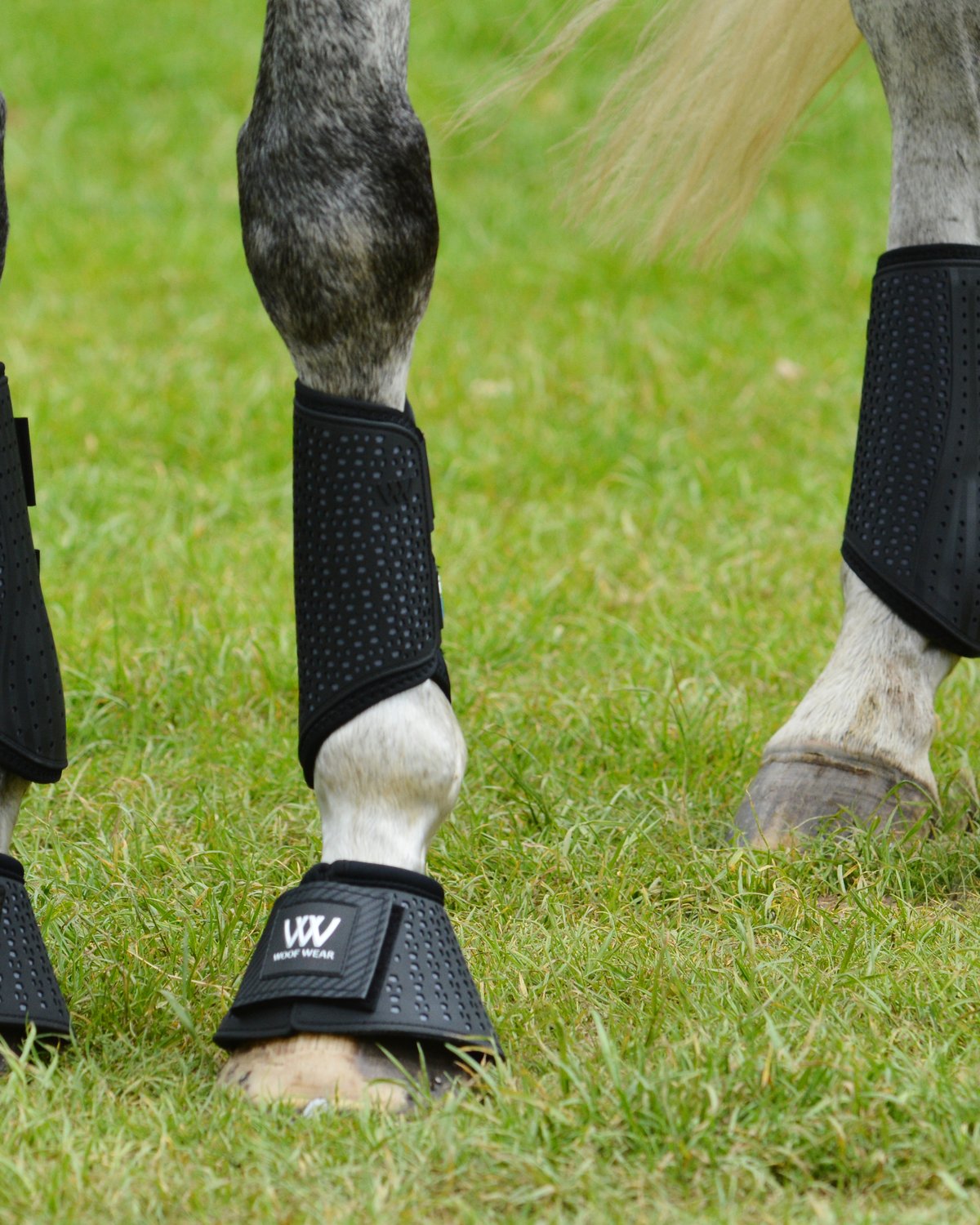 Woof Wear IVENT Overreach Boots: Black Steel horse boots from Equiflair. Lightweight, protective horse gear.