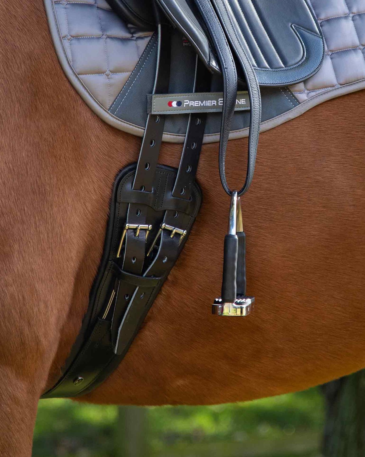 Premier Equine Davoli Leather Girth Black