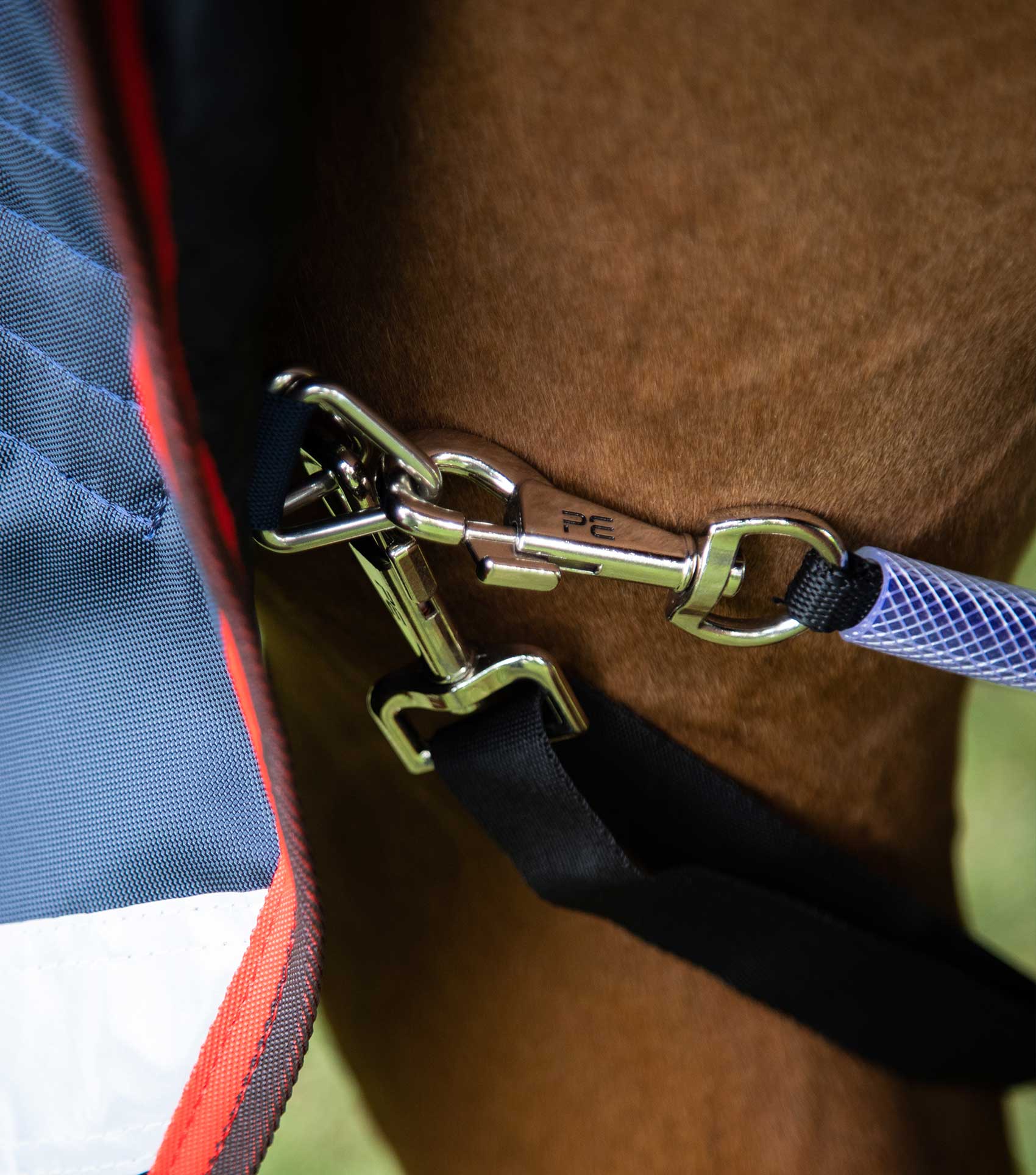 Premier Equine Detachable Leg Straps Black on Horse Leg | Equestrian Equipment | Equiflair
