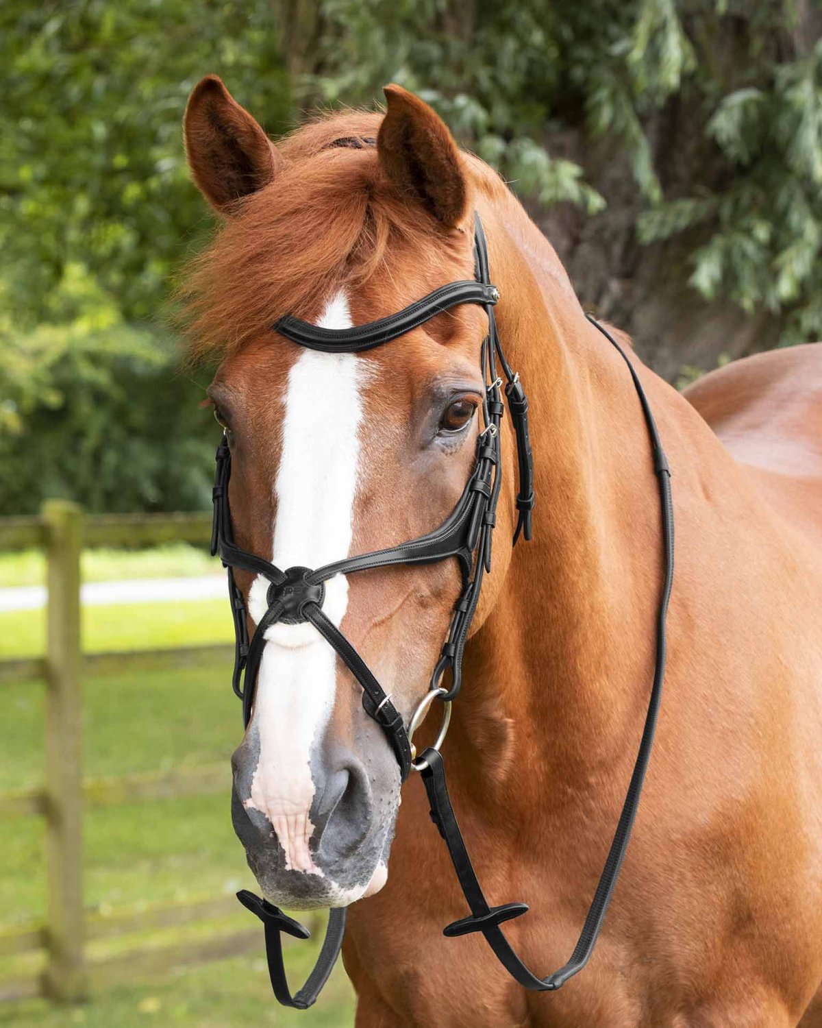 Premier Equine Diego Rubber Reins Black