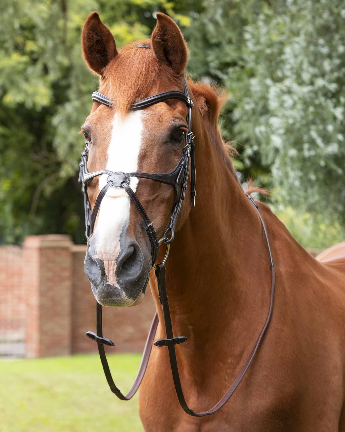 Premier Equine Diego Rubber Reins Brown