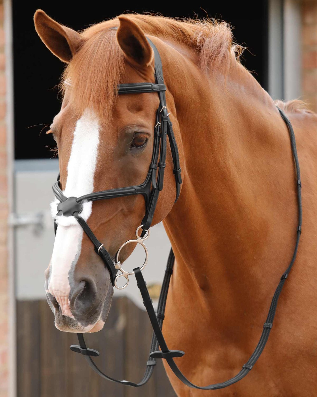 Premier Equine Domenico Web & Rubber Grip Reins Black