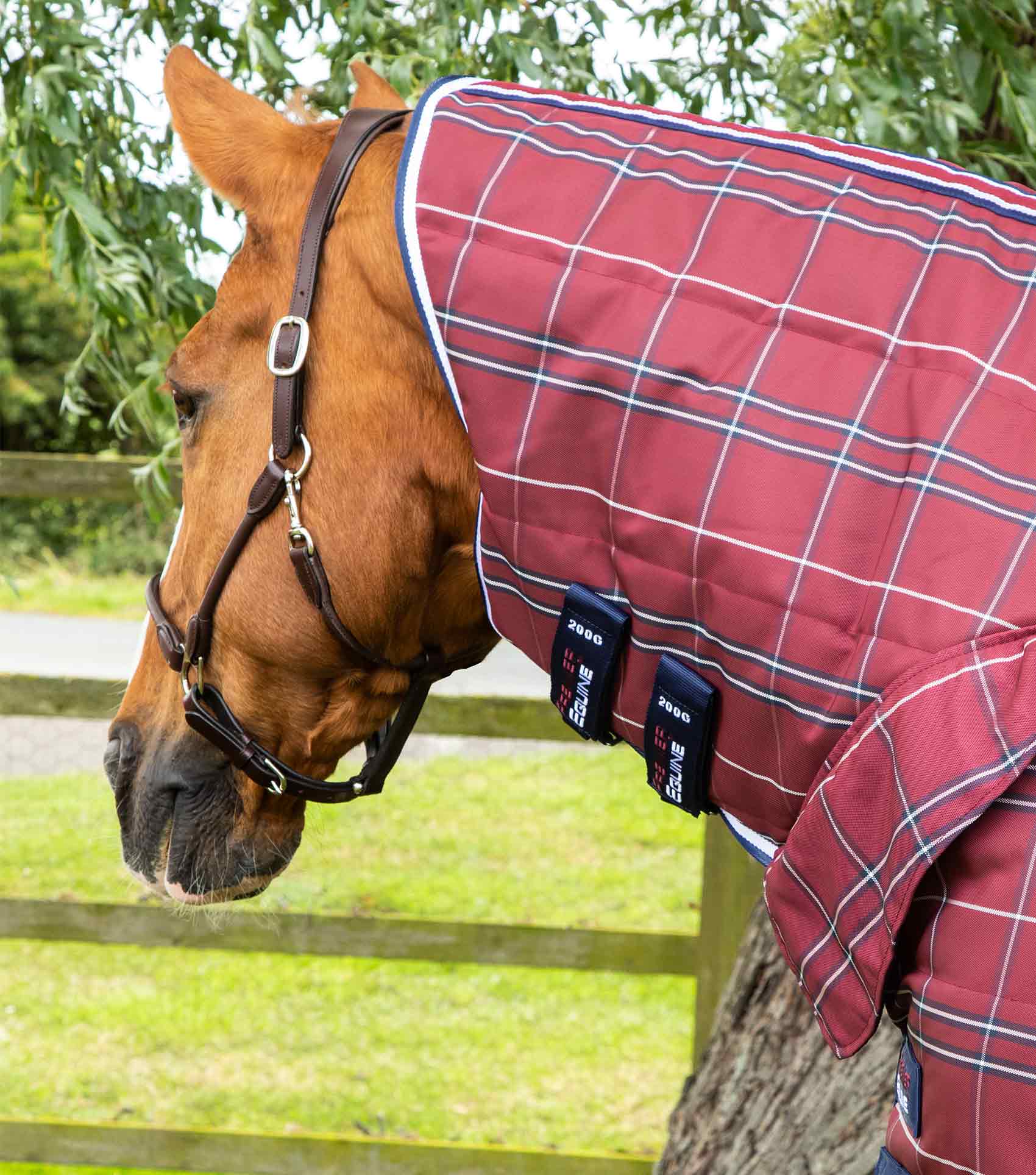 Premier Equine Stable Rug Burgundy Check 200g | Horse Wearing Quilted Blanket