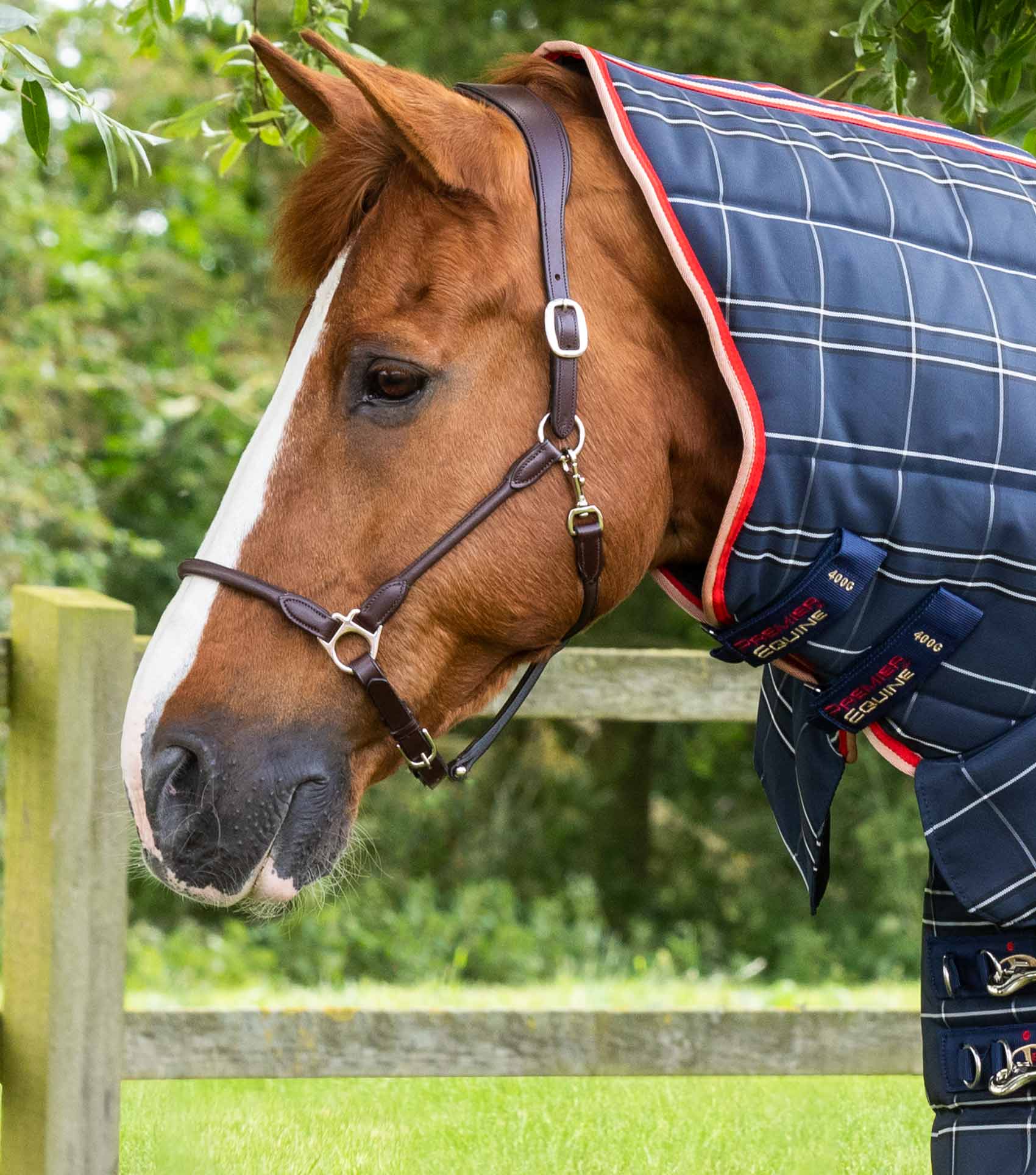 Horse Wearing Premier Equine Domus 400g Navy Check Stable Rug - Warm & Comfortable Horse Blanket