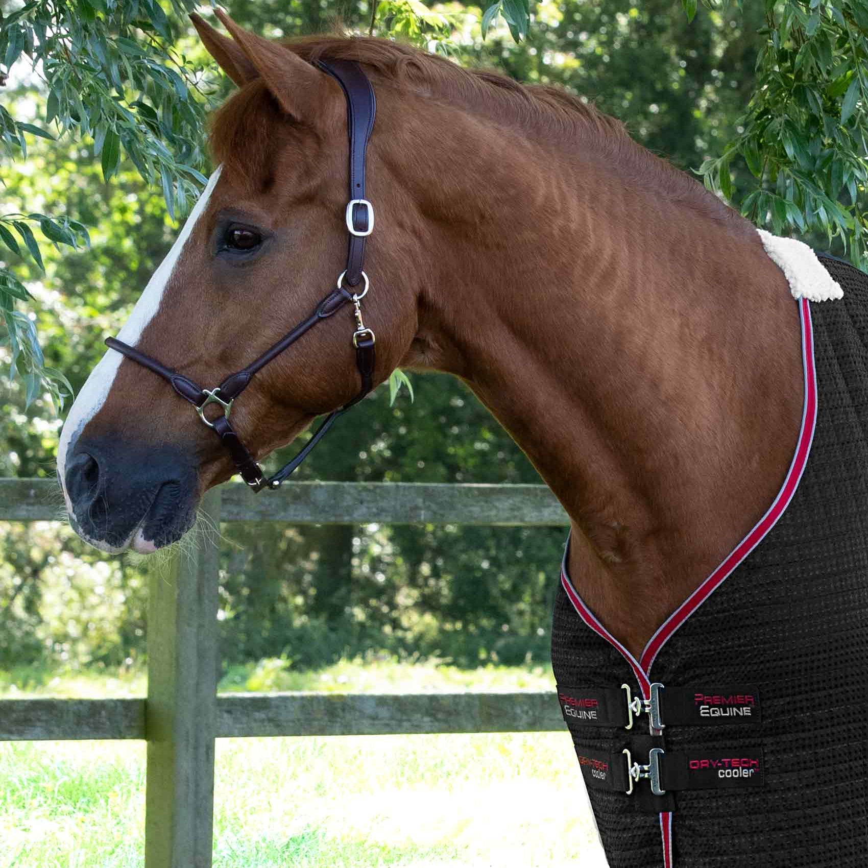 Premier Equine Dry-Tech Horse Cooler Rug Black: Breathable, Quick-Drying Horse Blanket