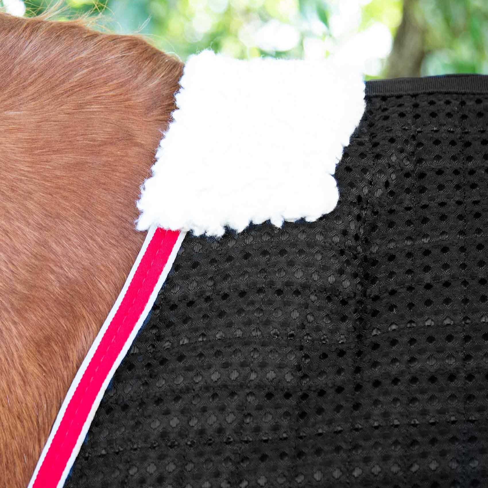 Premier Equine Dry-Tech Horse Cooler Rug Black: Breathable, Quick-Drying Horse Blanket