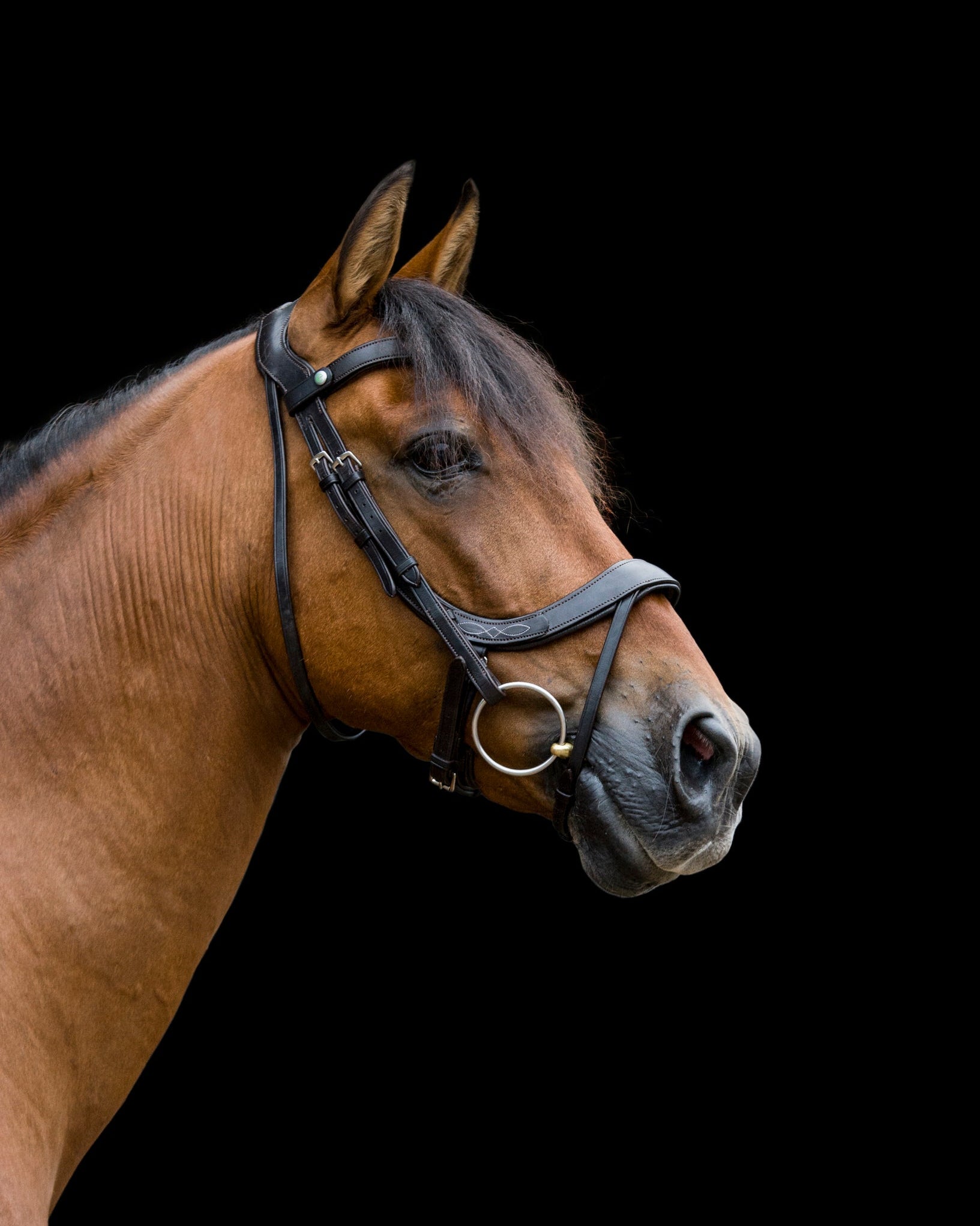 Ecorider Freedom Comfort Bridle