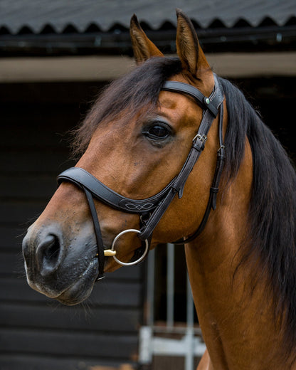 Ecorider Freedom Comfort Bridle