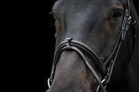 Ecorider Classic Comfort Bridle