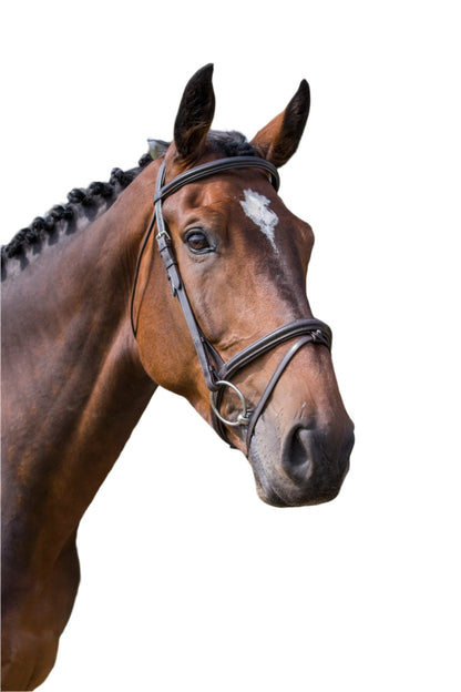 Ecorider Classic Comfort Bridle - Snaffle Bridle Horse Leatherwork Black