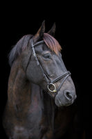 Ecorider Classic Comfort Bridle