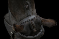 Ecorider Classic Comfort Bridle