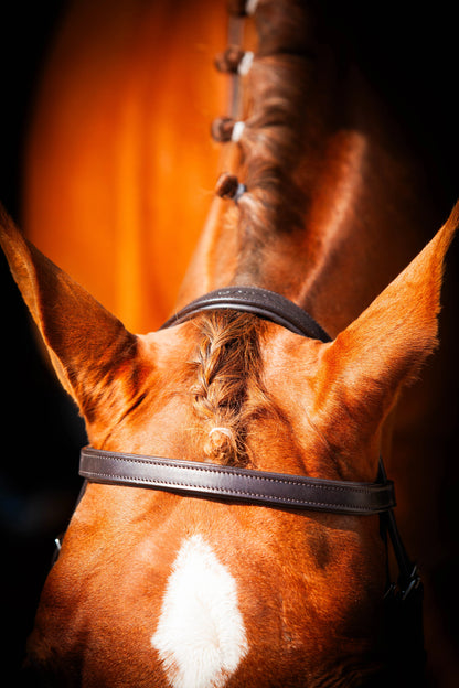 Chestnut Horse with Brown Leather Show Bridle | Equiflair EcoLeather Comfort Bridle