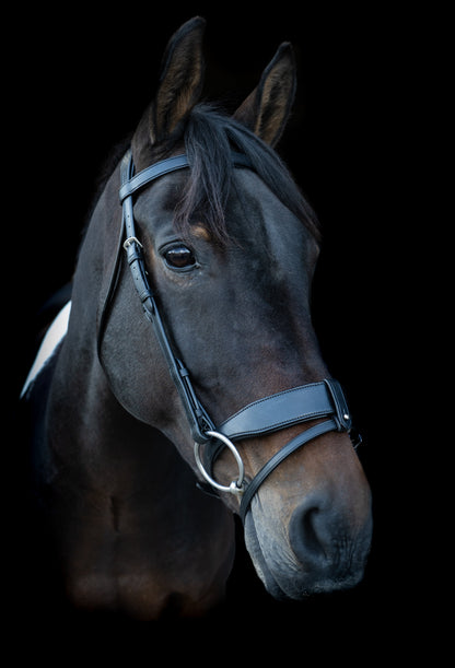 Ecorider Classic Show Comfort Bridle Black