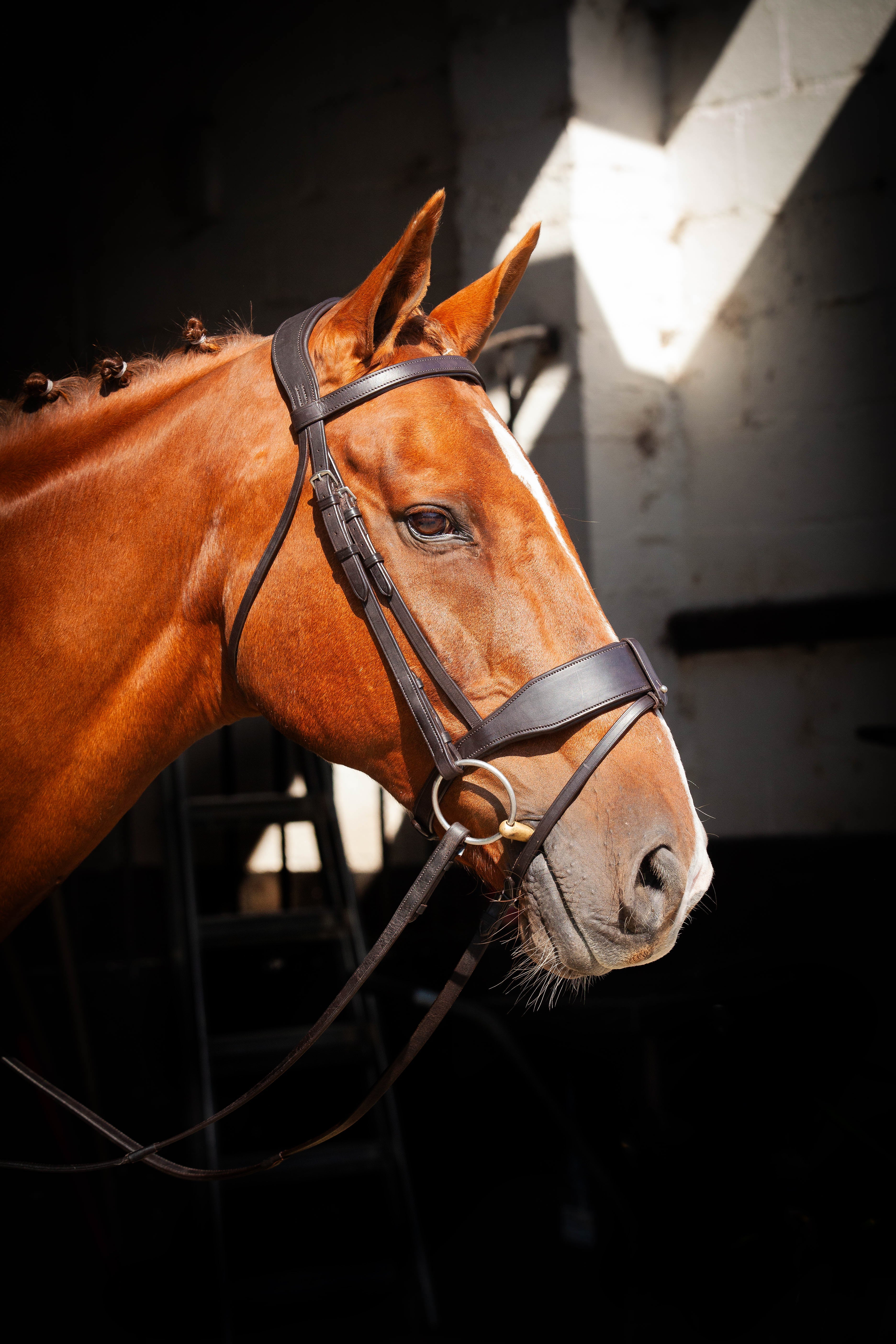 ECORIDER Brown Bridle: Classic Show Comfort, Equiflair. Equestrian Horse Tack.