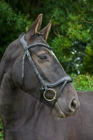 Ecorider Ecosoft Enigma Bridle