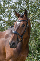 Ecorider Ecosoft Enigma Bridle