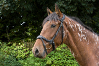 Ecorider Ecosoft Enigma Bridle