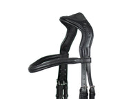 Ecorider Ecosoft Enigma Bridle