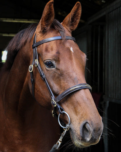 Ecorider Classic In hand Bridle