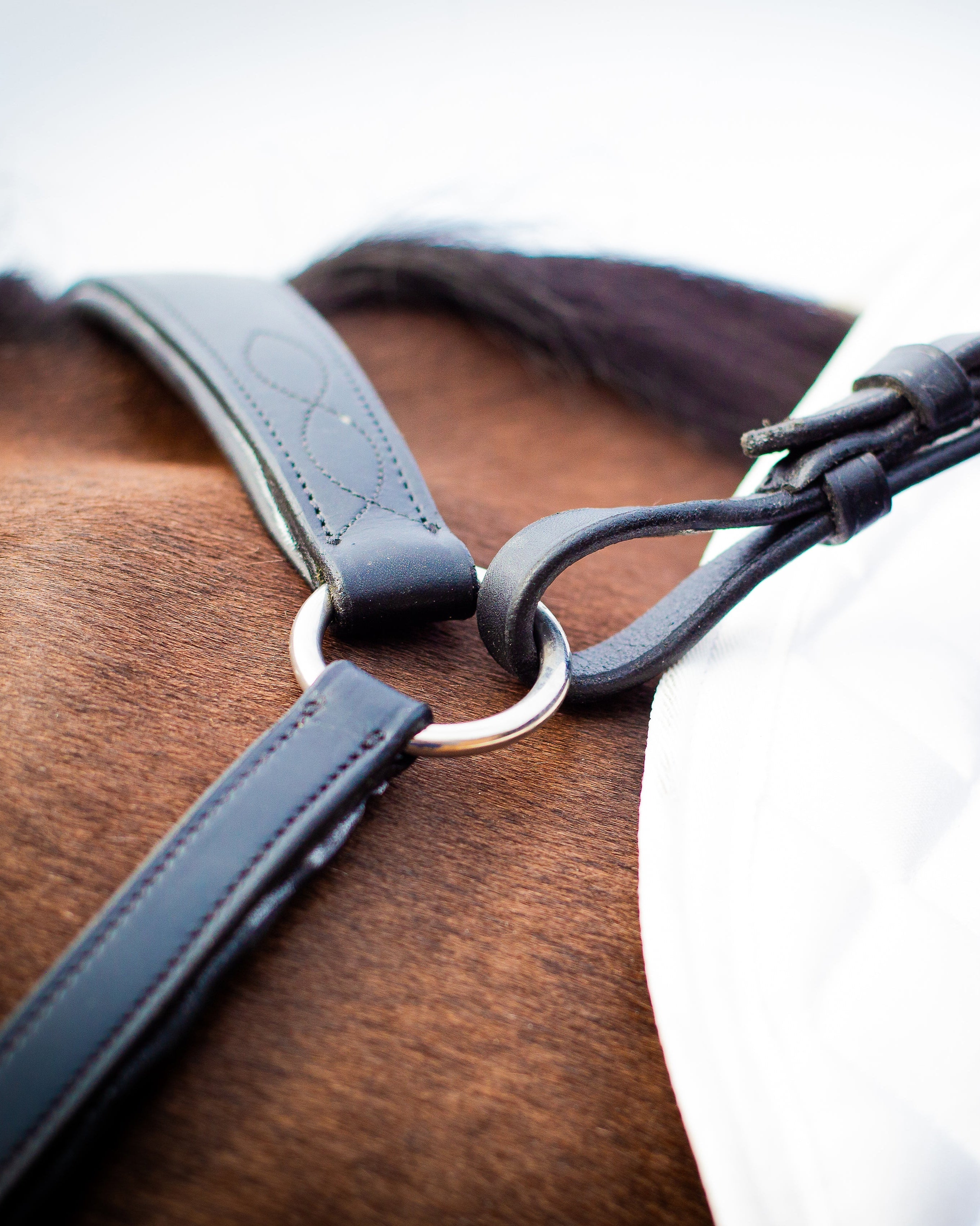 Ecorider Ultra Comfort Elasticated Breastplate Black
