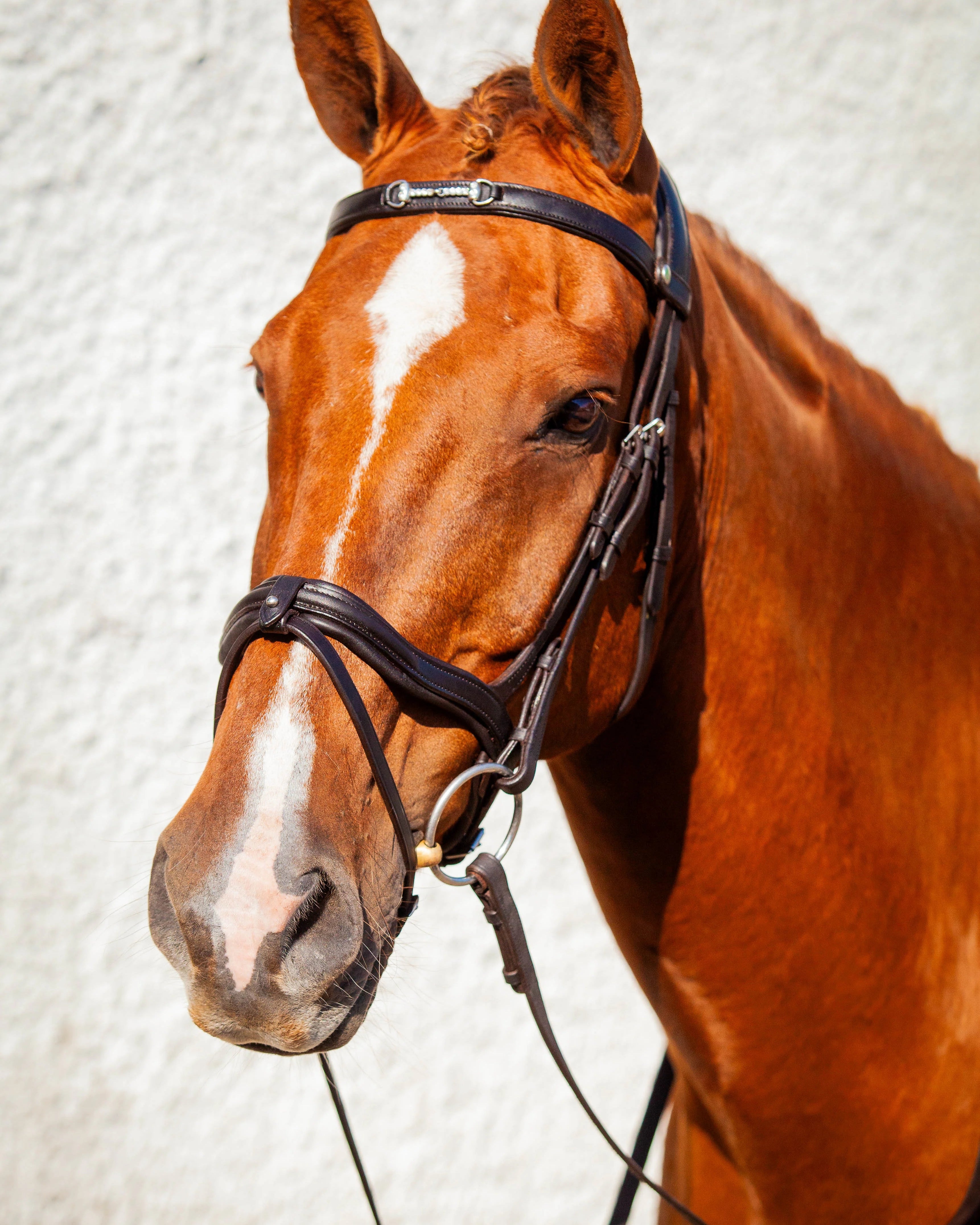 Chestnut Horse with ECORIDER Snaffle Browband Brown Eco925 from Equiflair: Diamante Bit, Comfortable Leather